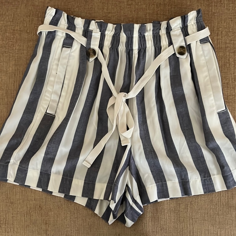 American Eagle Striped Shorts